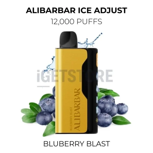 Alibarbar Ice Adjust Bluberry Blast 12000 Puffs