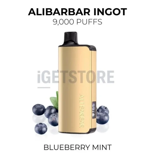 Alibarbar Ingot Blueberry Mint 9000 Puffs
