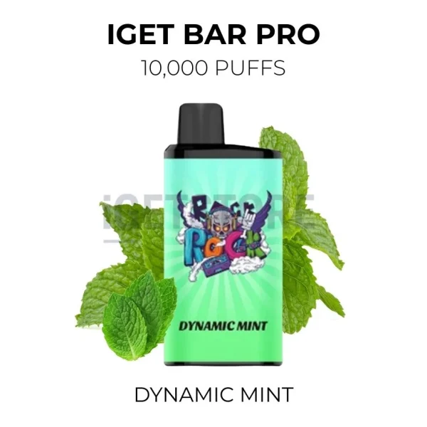 IGET Bar Pro Dynamic Mint 10000 Puffs