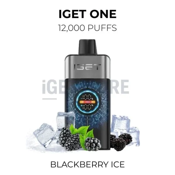 IGET One Blackberry Ice 12000 Puffs