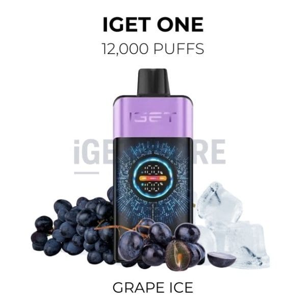 IGET ONE 12000 puffs – Grape Ice