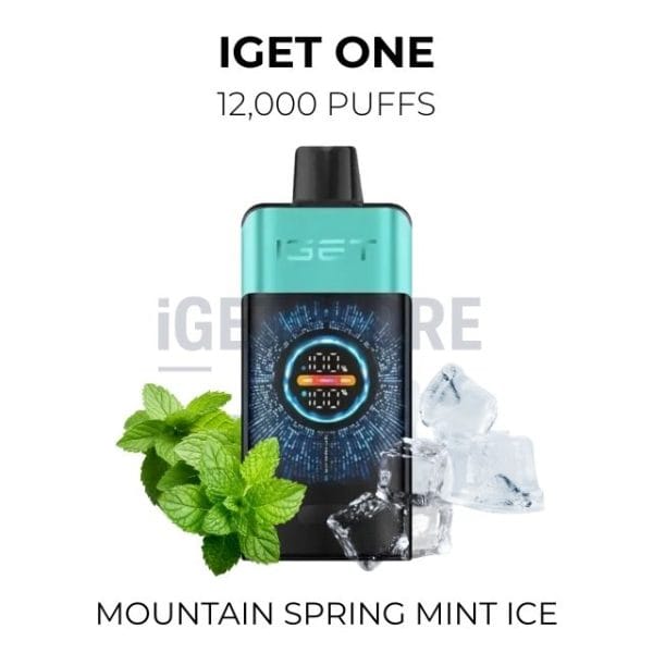 IGET ONE 12000 puffs – Mountain Spring Mint Ice