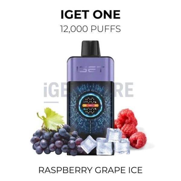 IGET ONE 12000 puffs – Raspberry Grape ice