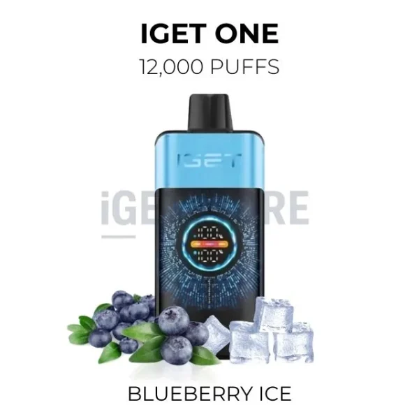 IGET One Blueberry Ice 12000 Puffs