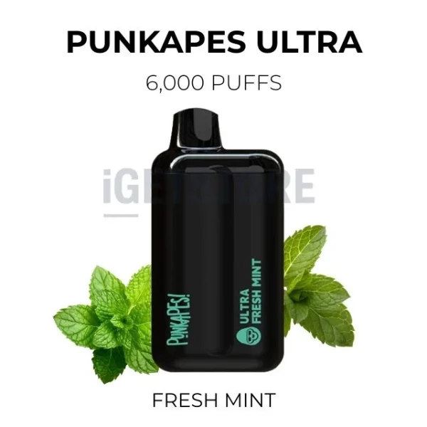 Punkapes Ultra 6000 – Fresh Mint